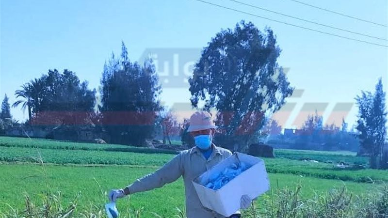 الحملة القومية 