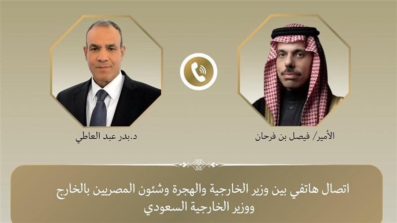 وزيرا خارجية مصر