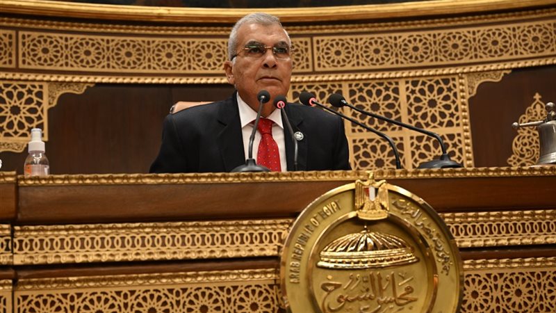 المستشار عصام فريد