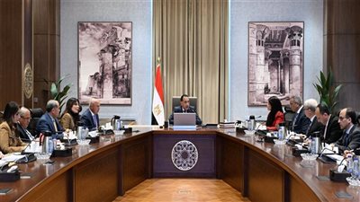 مدبولي يُتابع إعادة هيكلة الأداء المالي لعددٍ من الهيئات الاقتصادية  