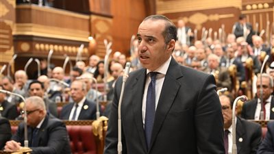 ننشر تقرير لجنة التعليم بالشيوخ عن تقييد استخدام لعبة روبلوكس لحماية الأطفال 