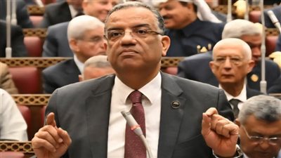 برلمانية الجبهة الوطنية: لن نسمح بسلق القوانين أو ترك كل شيء للائحة التنفيذية