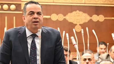 النائب عصام هلال يطالب الحكومة بخطة زمنية محددة لتنظيم استخدام الأطفال للهواتف