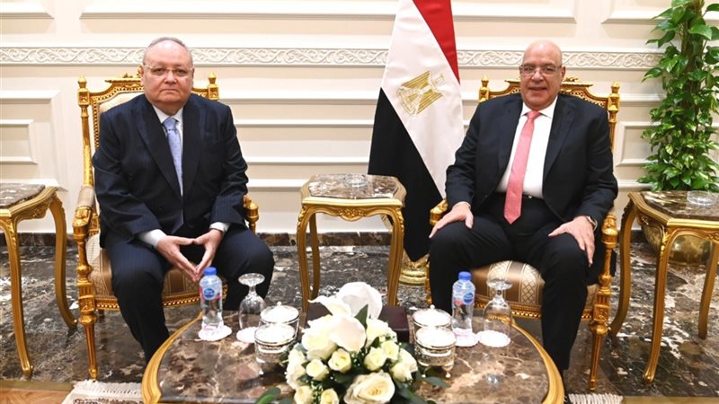 المستشار هشام بدوي