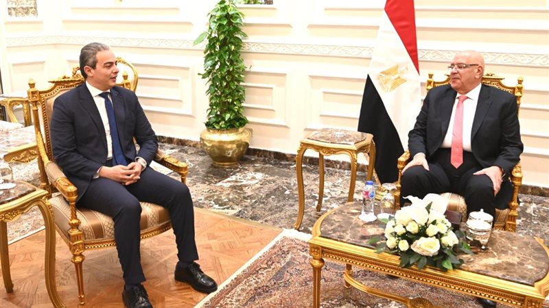 المستشار هشام بدوي