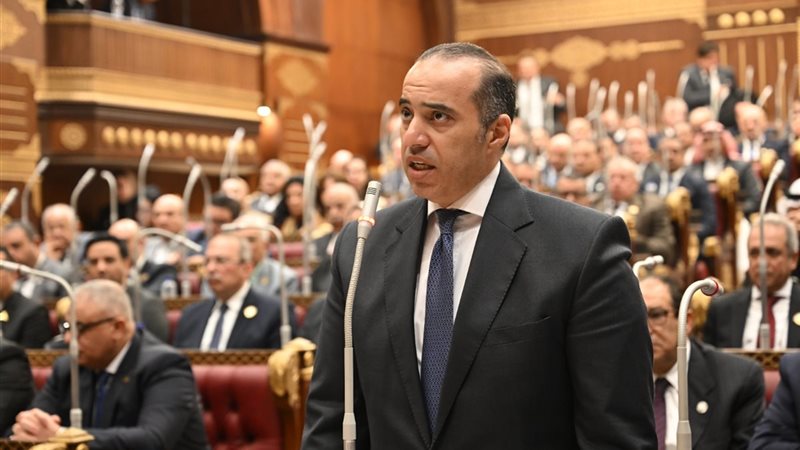 جلسة مجلس الشيوخ