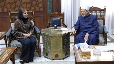 المدير التنفيذي لمنظمة تنمية المرأة تشكر الإمام الأكبر على دعم الأزهر   