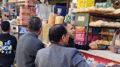محافظ المنيا يوجه بتوفيق أوضاع المحال العامة وضبط 99 مخالفة متنوعة