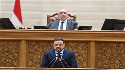 رئيس شباب النواب يستعرض تفاصيل مشروع قانون نقابة المهن الرياضية