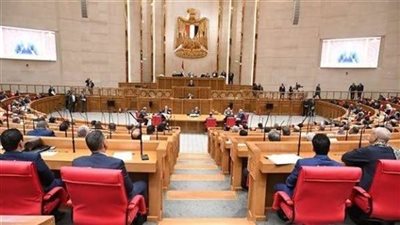 مجلس النواب يوافق نهائيًا على تعديل قانون المهن الرياضية 