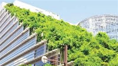 المدن المصرية تواجه تحديات المناخ: ورشة حول التكيف وأولويات التنمية المستدامة