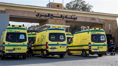 مدير المنظمات الأهلية الفلسطينية يثمن دور مصر في فتح معبر رفح