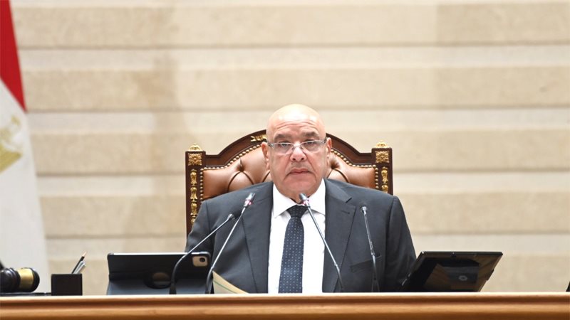  المستشار هشام بدوى