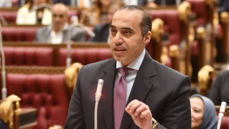 المستشار محمود فوزي