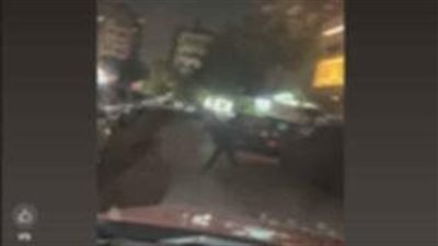 حقيقة تضرر سيدة من قيام شخص بالتعدي بالضرب على الكلاب الضالة