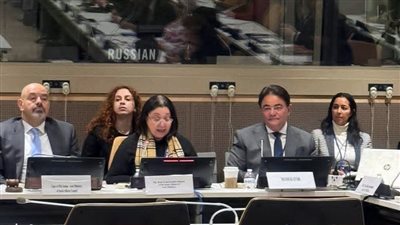 التضامن الاجتماعي تشارك في فعاليات نحو تنمية اجتماعية شاملة بنيويورك