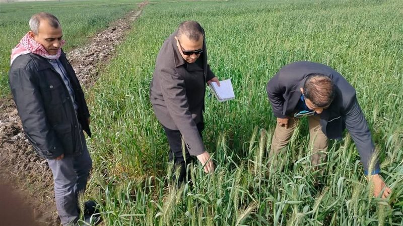 حملات الزراعة