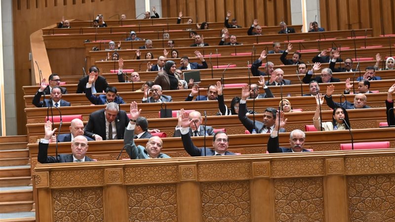 جلسة مجلس النواب