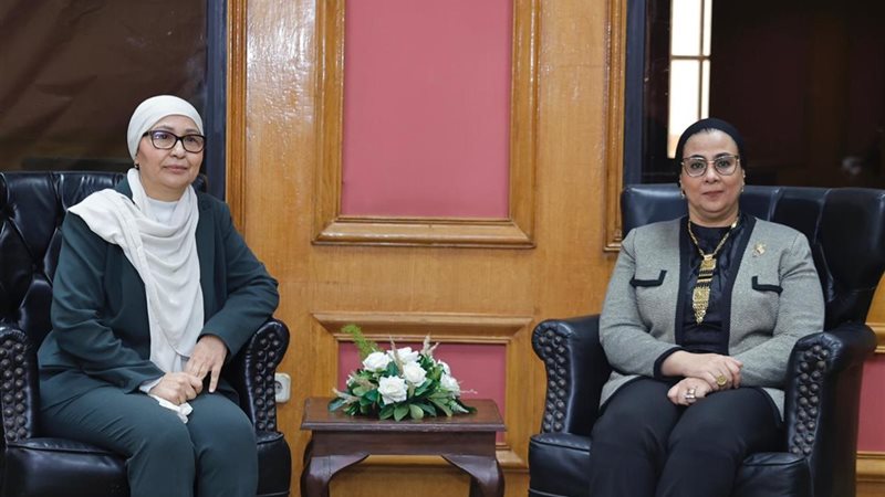 جانب من اللقاء 