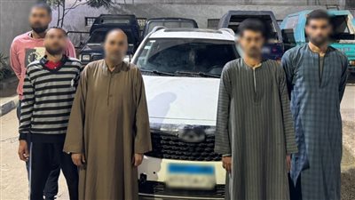 القبض على مجموعة من الأشخاص حاولوا خطف مسن بالدقهلية