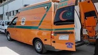 دهسته سيارة نقل أثناء لهوه بالشارع.. مصرع تلميذ بالفيوم 