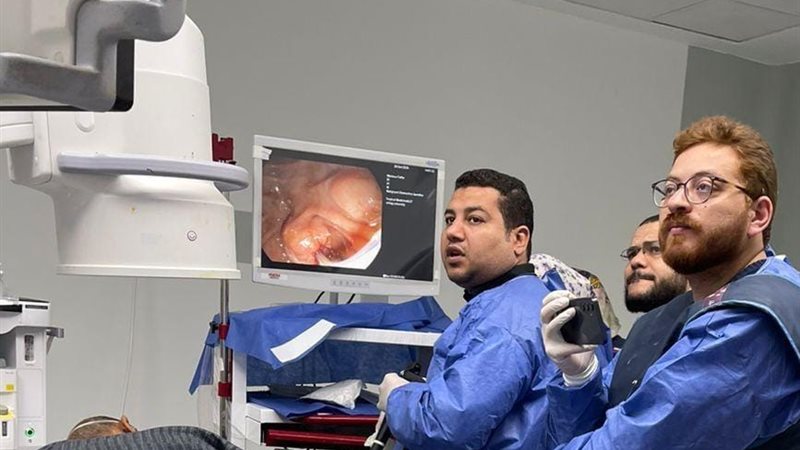 بوابة روز اليوسف