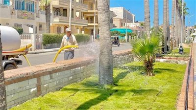 محافظ كفر الشيخ يوجه بزيادة المساحات الخضراء بمصيف بلطيم