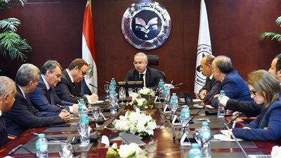  مصر ستصبح أول دولة أفريقية مُصدرة لسيانيد الصوديوم