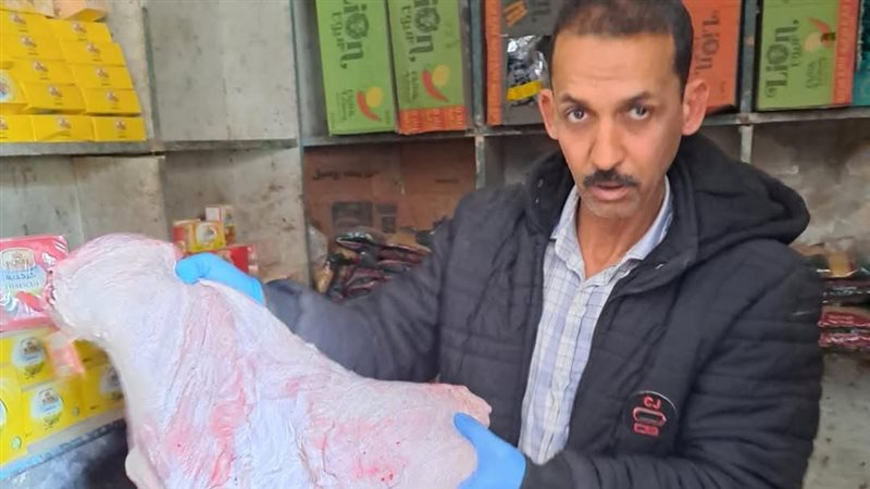 حملات بيطرية مكثفة