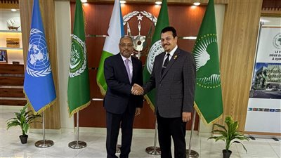 ياسر البخشوان: جيبوتي تلعب دورًا فاعلًا في باب المندب وهي نقطة الارتكاز الأهم