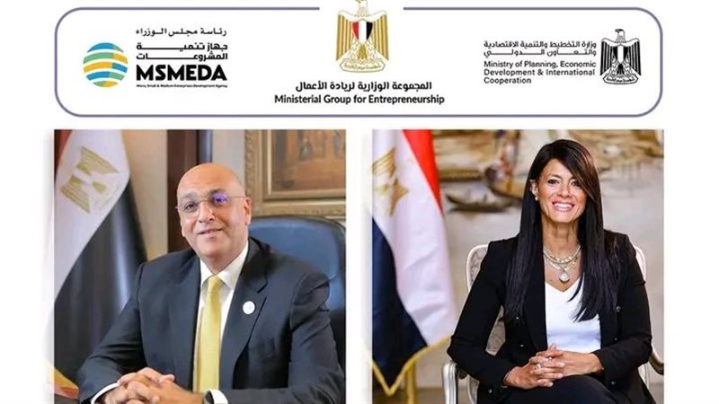 الدكتورة رانيا المشاط