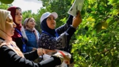 حملة ميدانية للتوعية بأهمية مكافحة الآفات الزراعية في 3 محافظات