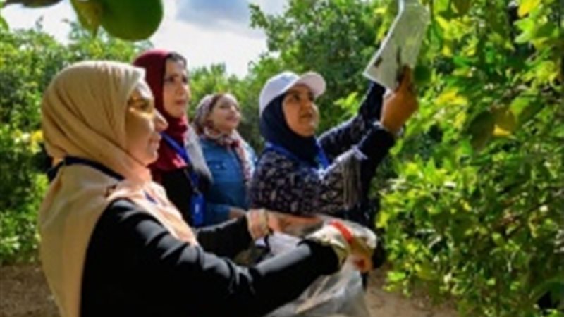 مكافحة الآفات