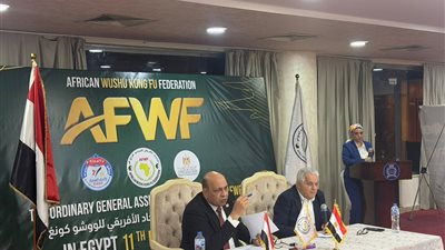 شريف مصطفى يحتفظ برئاسة الاتحاد الأفريقي للووشو كونغ فو