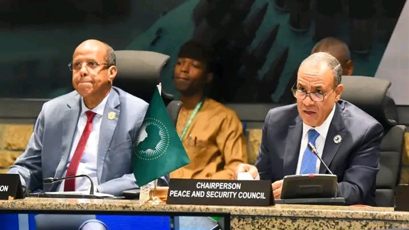 جانب من الجلسة برئاسة