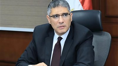 محافظ الجيزة: ضبط ٢٧٦٧ قضية تموينية بإجمالي ١٦٠ طن مضبوطات 