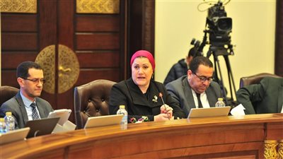 الطفولة والأمومة يناقش “الأطفال والإنترنت” في مائدة مستديرة لـ“حماة الوطن”