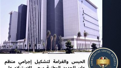 الحبس والغرامة لتشكيل إجرامي منظم عابر للحدود الوطنية