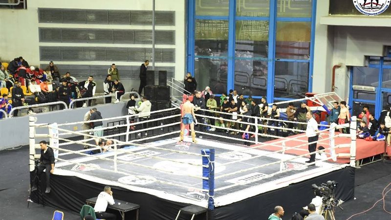 بوابة روز اليوسف