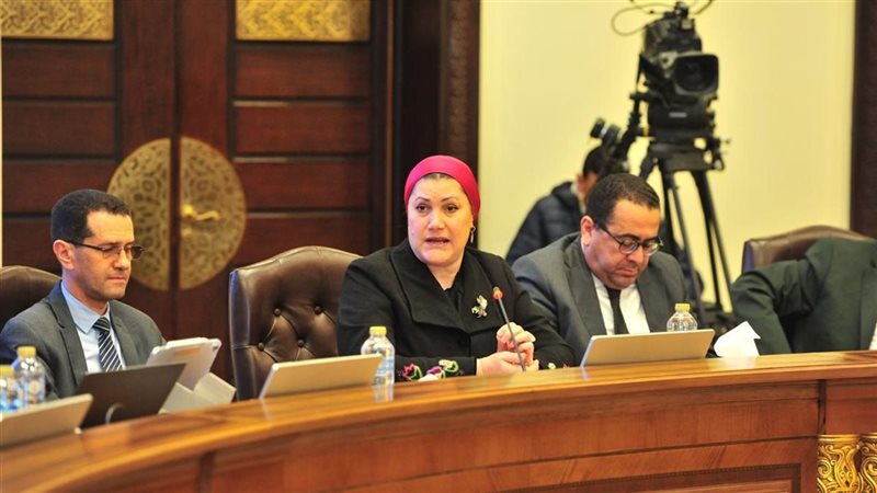 سحر السنباطي خلال