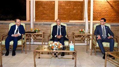 وزير الخارجية يلتقي بالجالية المصرية في أديس أبابا