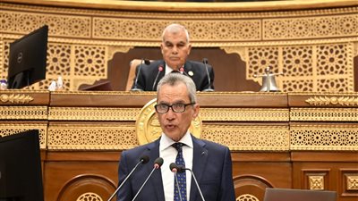 وزير شئون المجالس النيابية يؤكد استمرار التعاون بين الحكومة ومجلس الشيوخ 