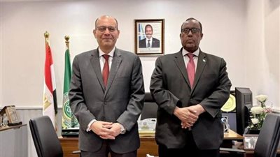 سفير الصومال بالقاهرة يشيد بالدور المصري المحوري في دعم بلاده عربيًا ودوليًا