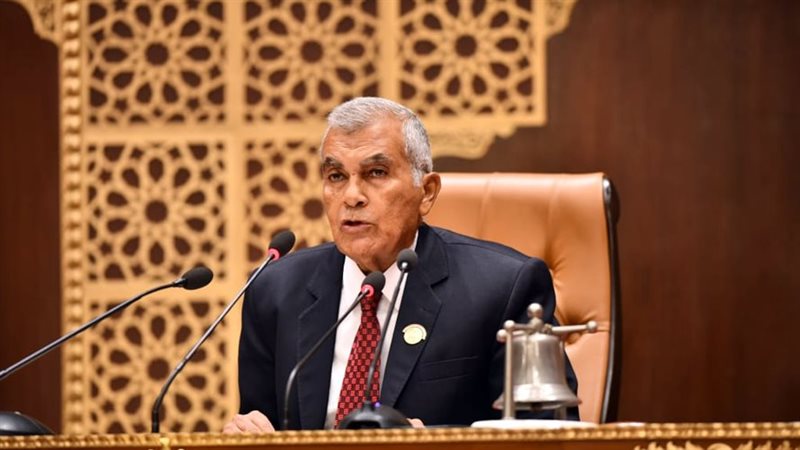 المستشار عصام فريد