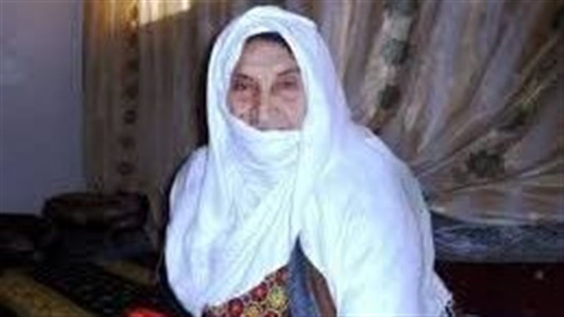 المجاهدة السيناوية