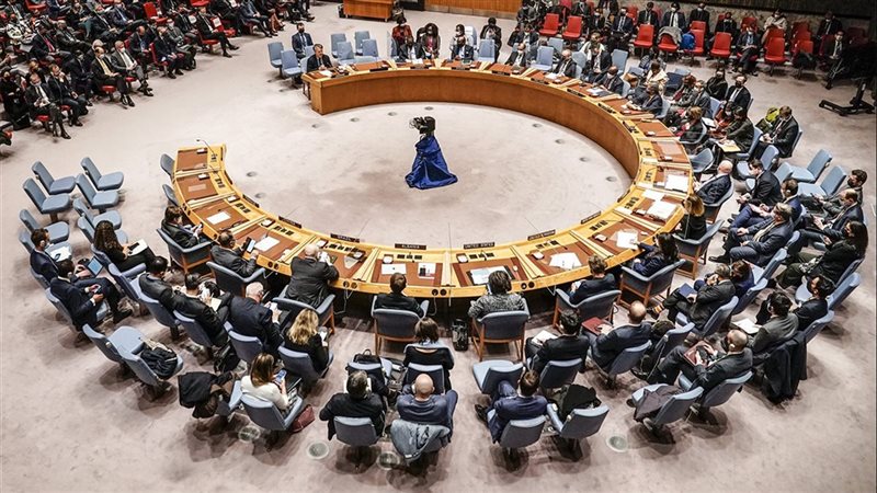 مجلس الأمن الدولي