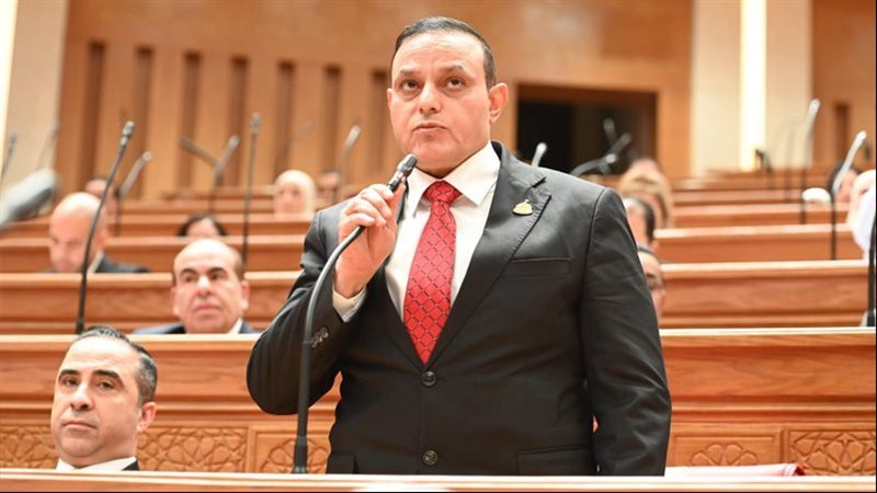 النائب مختار همام