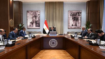 رئيس الوزراء يستعرض مع وزير الدولة للإعلام 