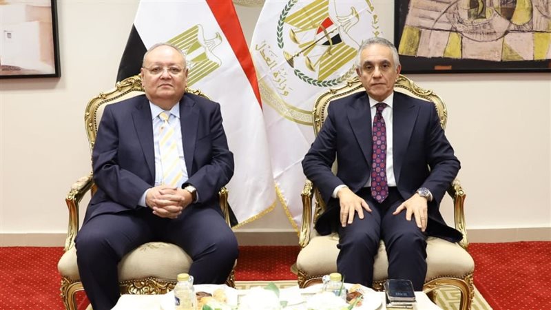 مجلس الدولة 