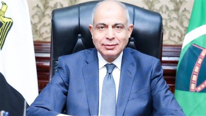 محافظ المنيا